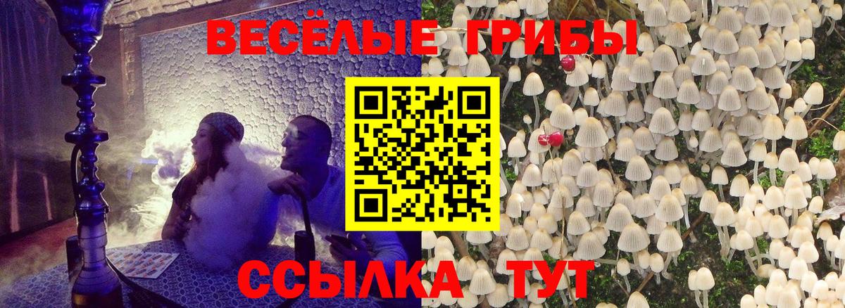 Галлюциногенные грибы Cubensis  наркошоп  Тейково  Вход с VPN  Псилоцибиновые грибы Cubensis 