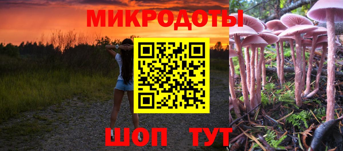Псилоцибиновые грибы GOLDEN TEACHER Тейково